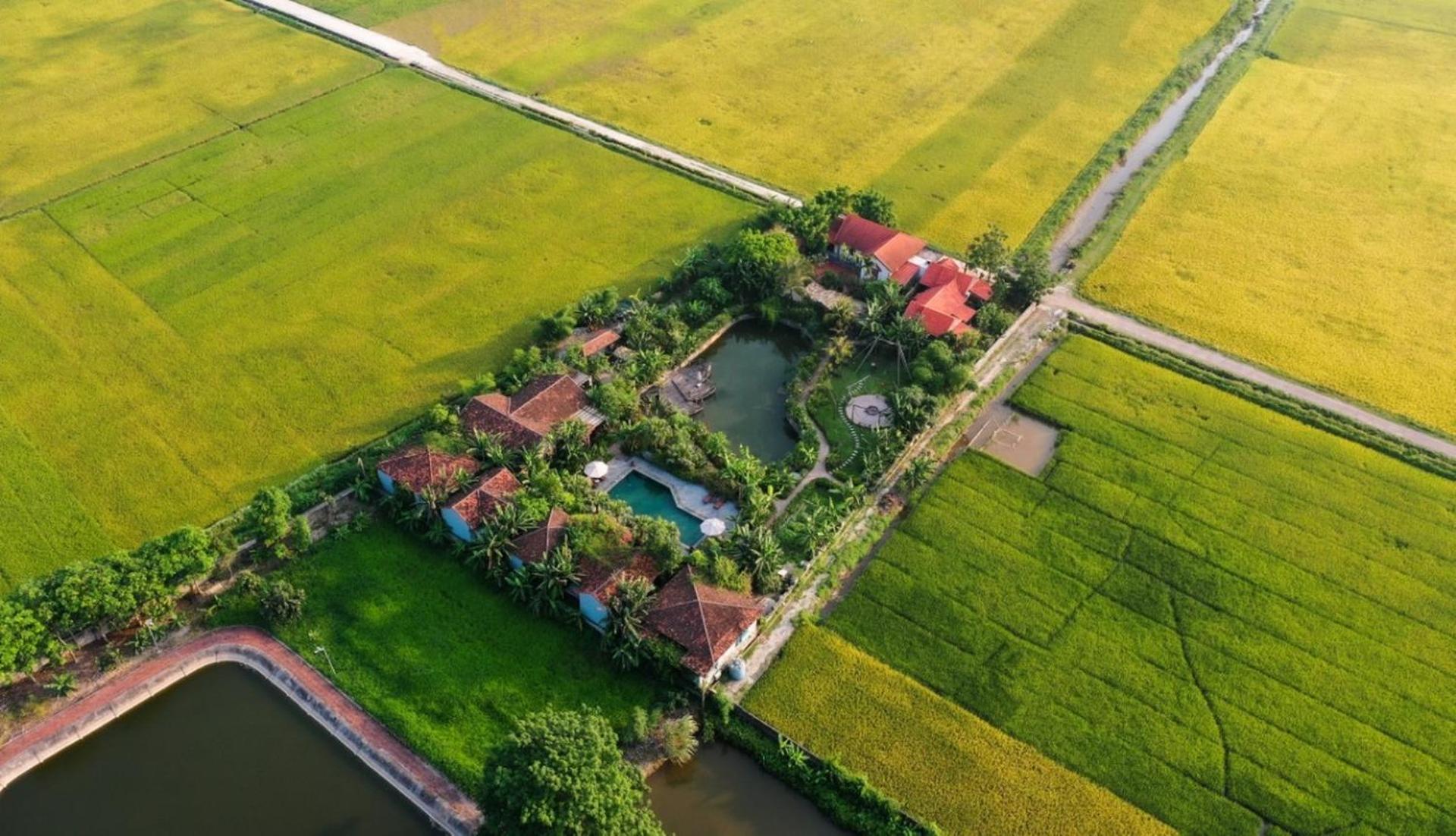 Chezcao Rice Field Ecolodge Нин Бин Екстериор снимка